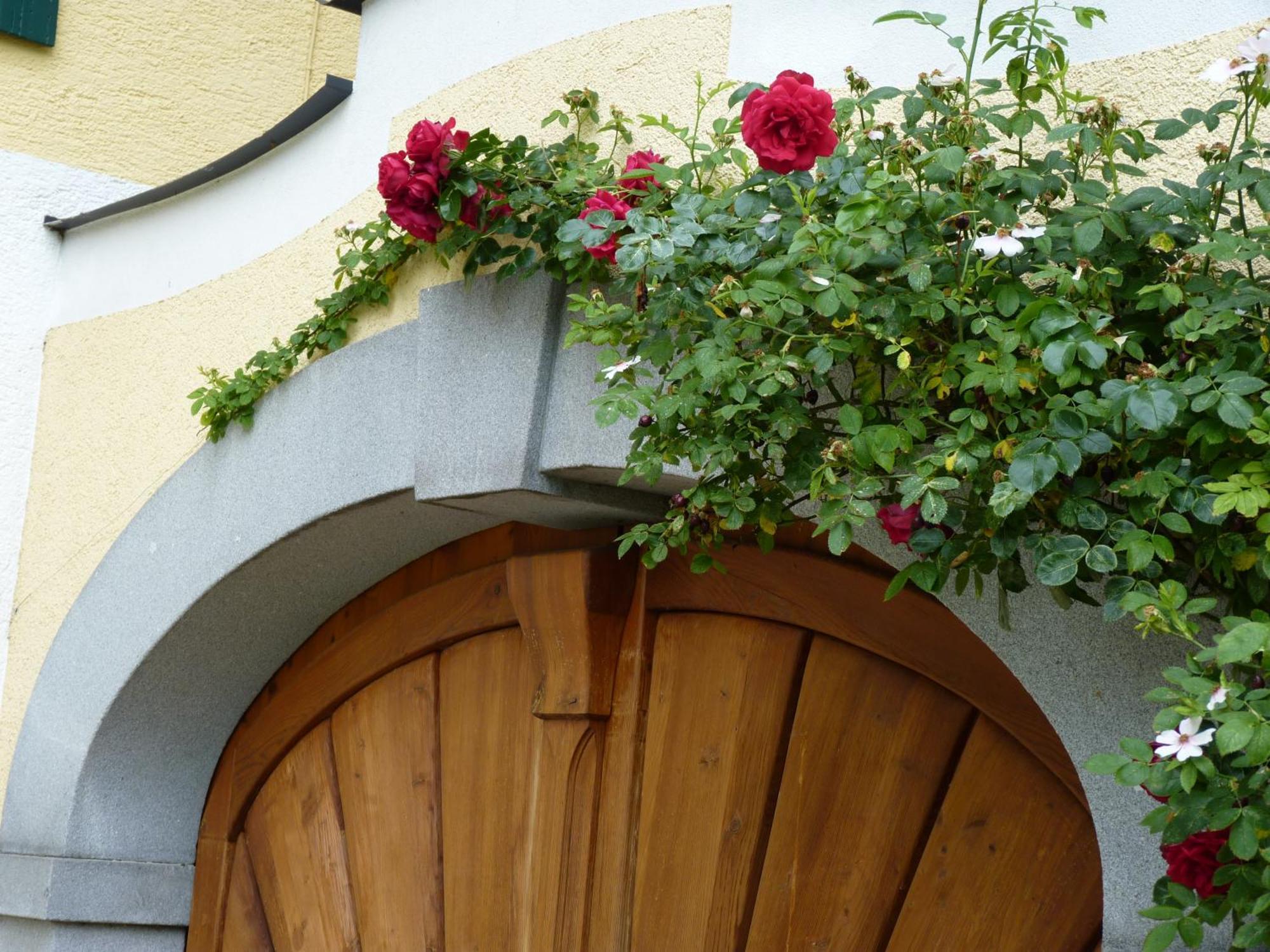 Landgut Wagnerfeld Apartment Altmünster Exterior foto